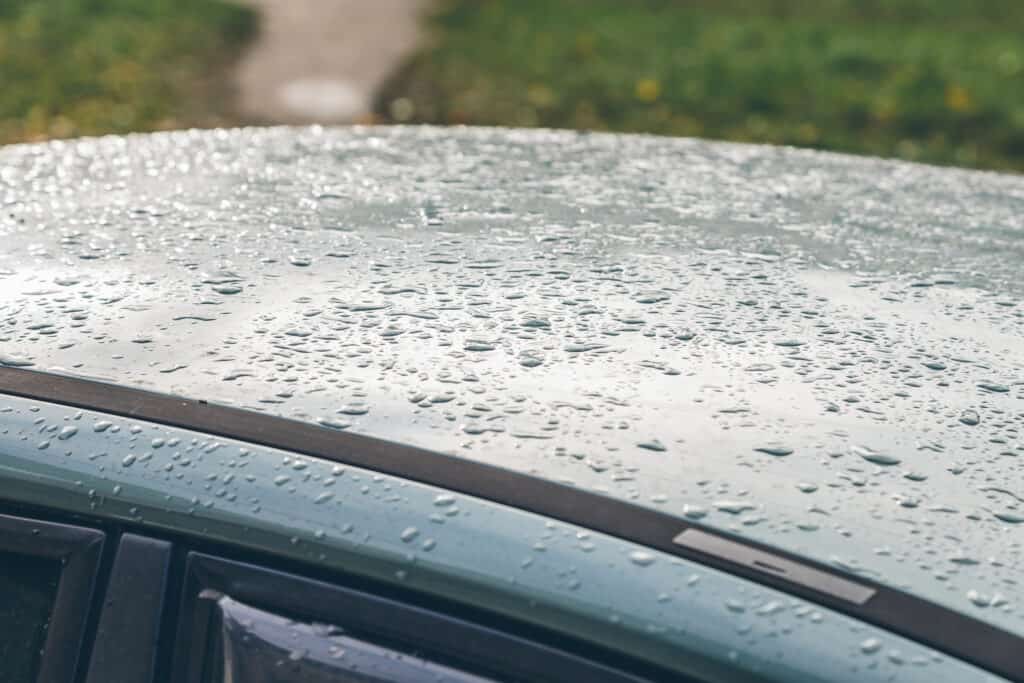 Close-up of water beading on a vehicle roof after ceramic coating and exterior detailing service at Symtek Automotive.